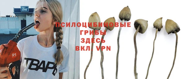 гидропоника Богородск