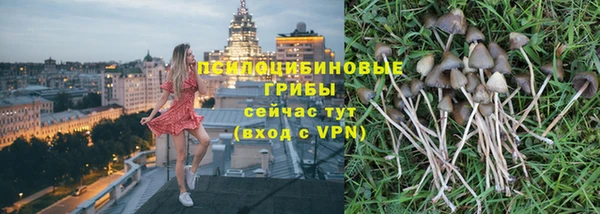 гидропоника Богородск