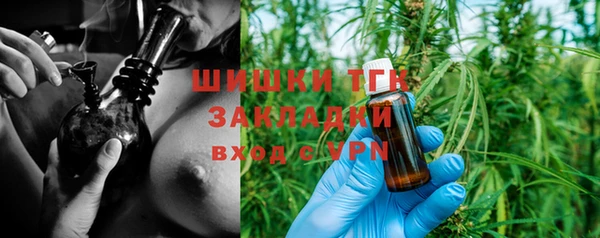 ГАЛЛЮЦИНОГЕННЫЕ ГРИБЫ Строитель